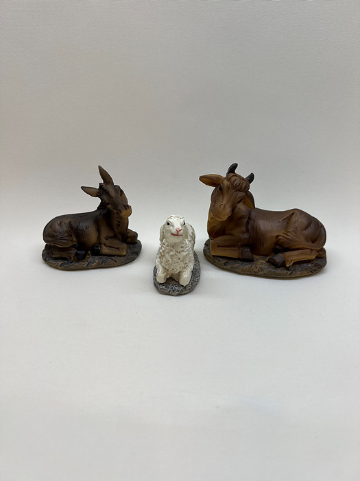 http://www.betania042.co.kr/shop/se2/imgup/1643088993_75353.jpg